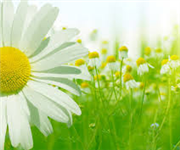 Old fashioned home cleaning techniques